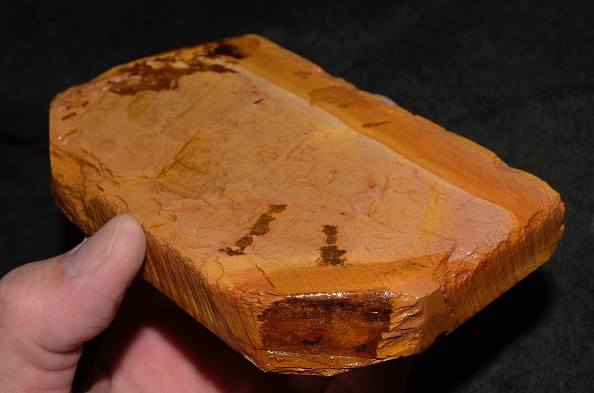 Kiita Kan 1 2017 2.jpg