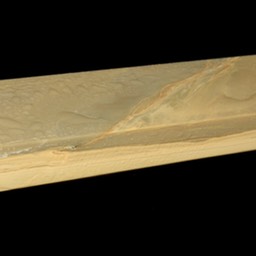 Les Lat Rect Hybrid 1