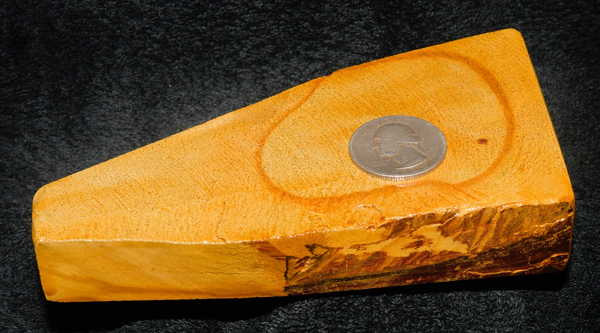 Naka Kiita Kan Koppa 2018 22e.jpg