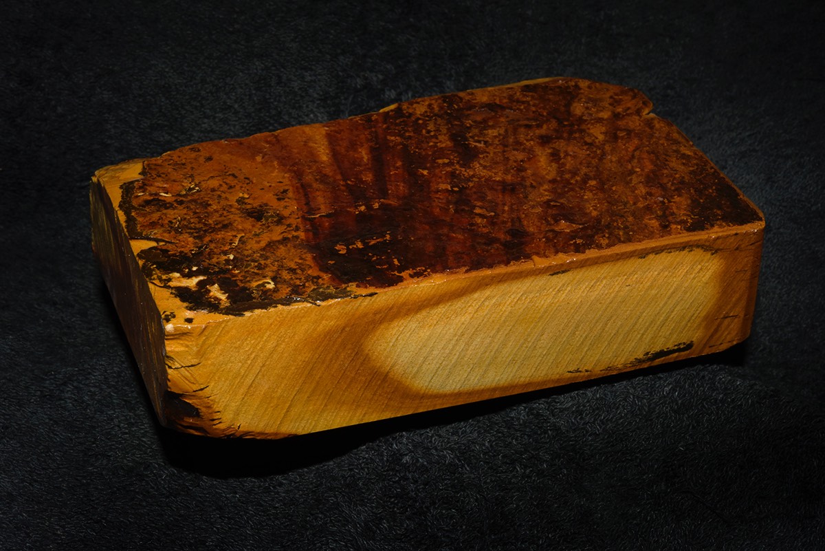 Nakayama Asagi Kan Koppa 2018 3.jpg