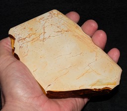 Shinden Koppa 2018 1a