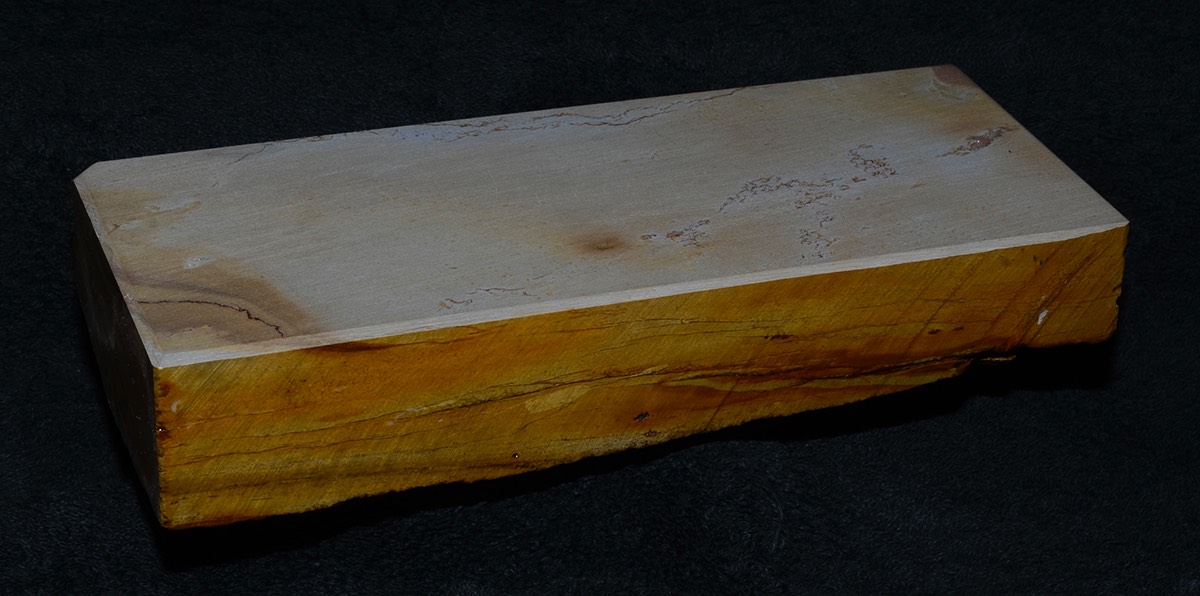 Shinden Tenjyou  2.jpg