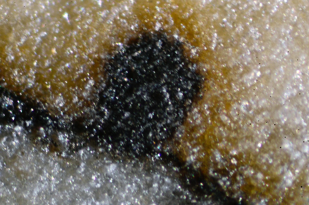 20x Manganese Side Light 1.jpg