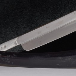 Anon Frameback 2018 1a