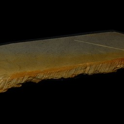 Asagi Diagonal Namazu Wet 1