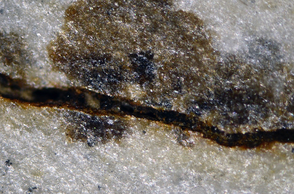 Frankonian 5x Neo DF 2