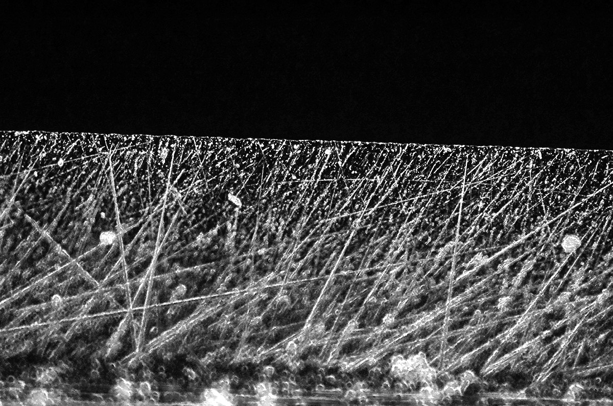 Green Wedge 10x Neo DF SSOFGR 1