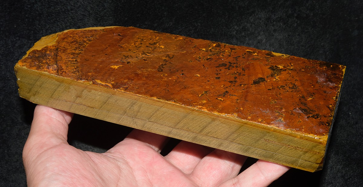 July 2017 Ozuku 4.jpg