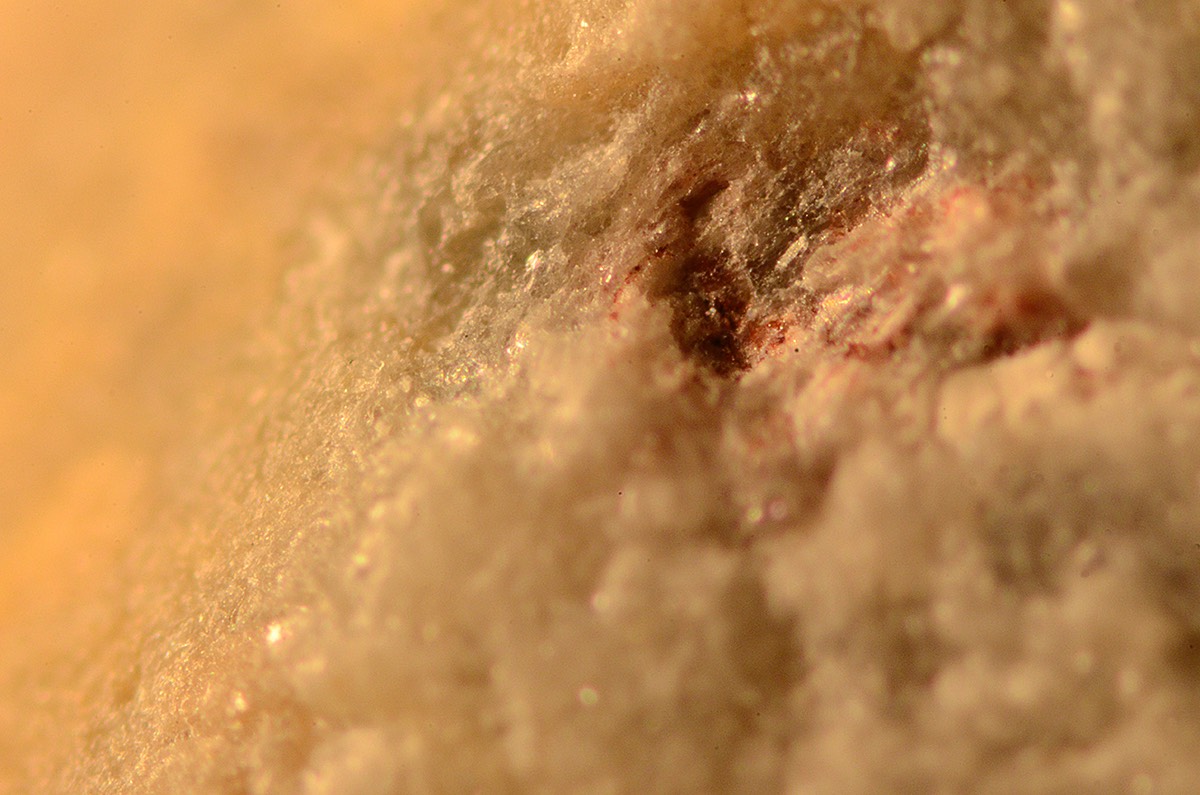 Les Lat FeOx 5x FO 1