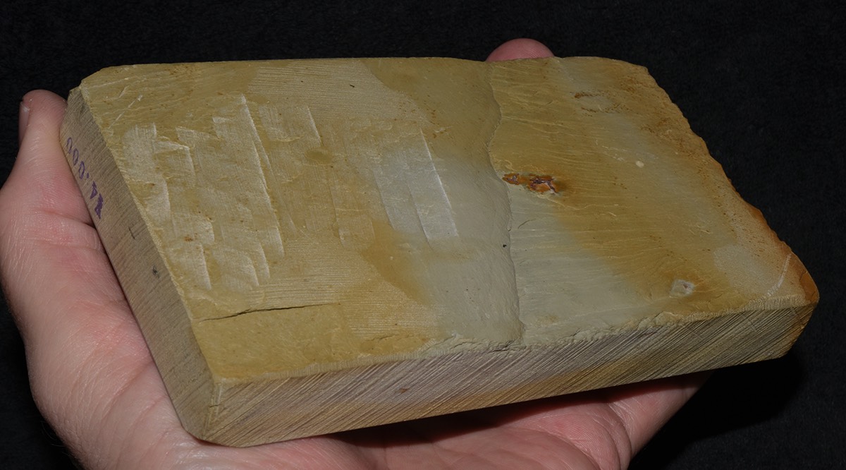 NakaMaruka 092017 8.jpg