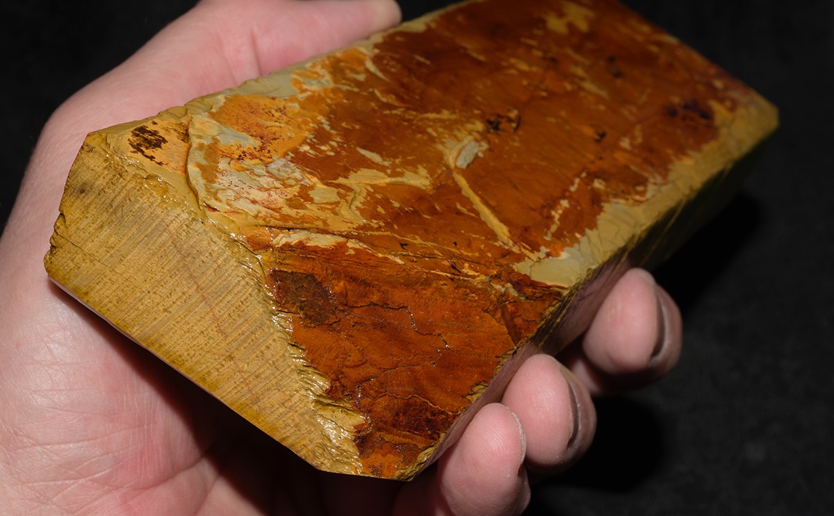 Narutaki Asagi 2017 12.jpg