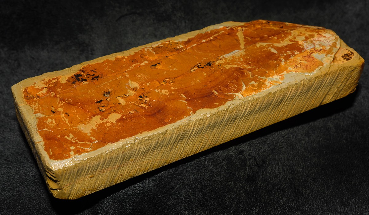 Narutaki Asagi 2017 14.jpg