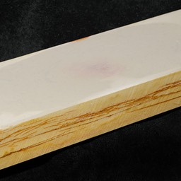 Shinden Shiro Renge 5