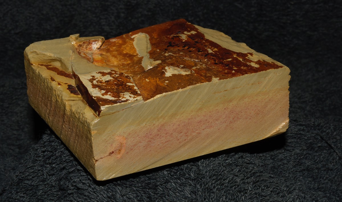 Shobu Iromono 2018 1f.jpg