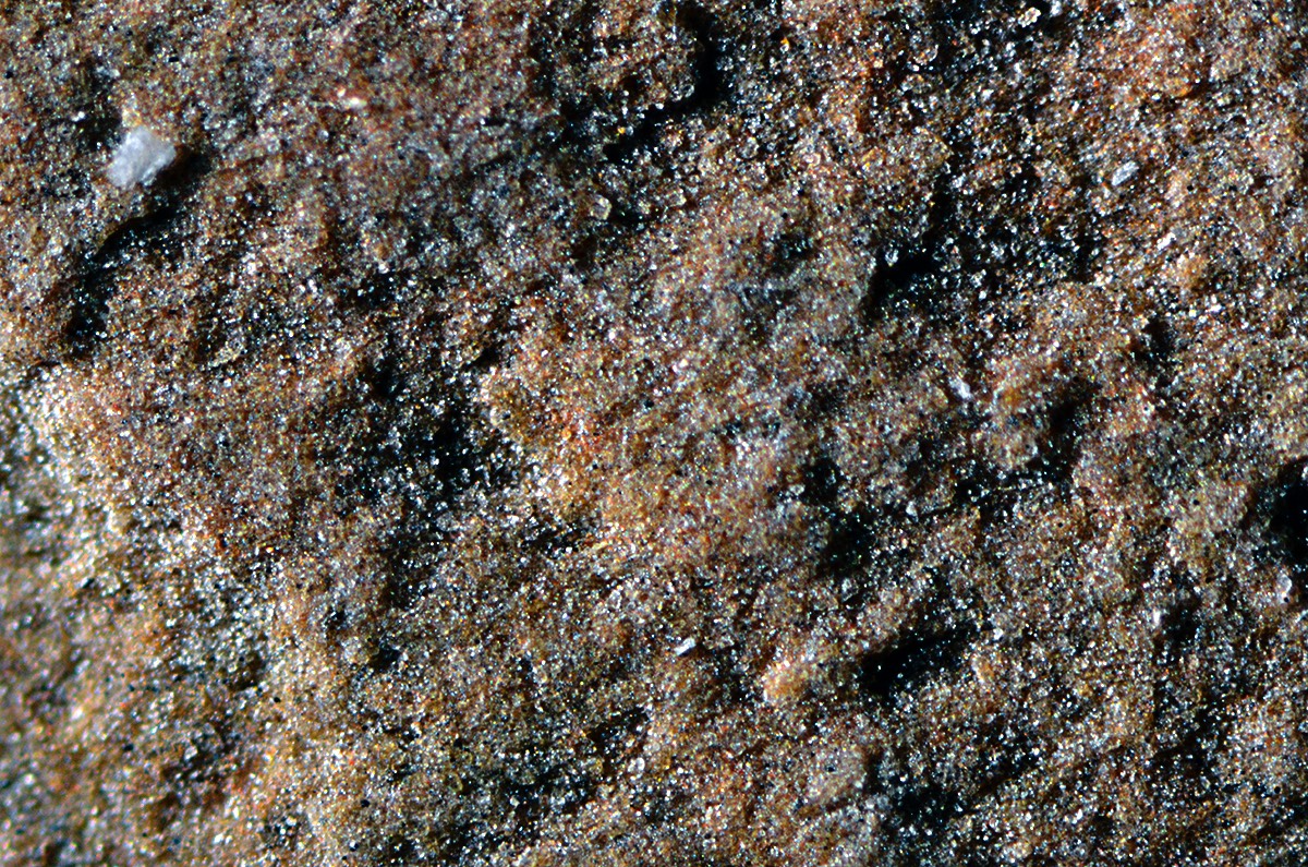 Shobu Iromono 5x.jpg