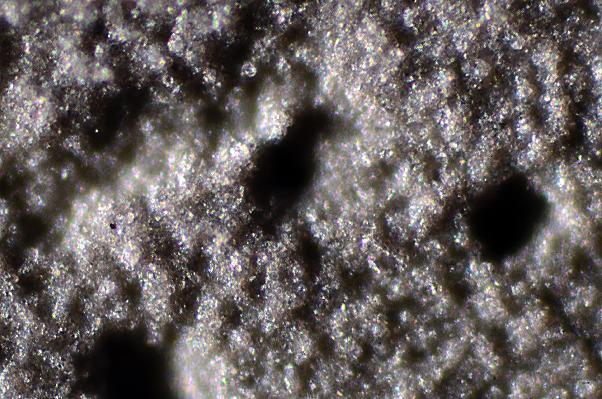 Thuri Slurry Dry 20x BF FO.jpg