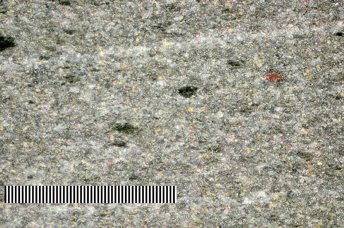 YG Escher 5x FO Micron 2.jpg